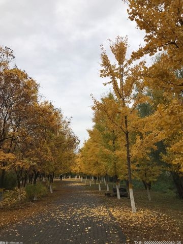 保肝护脏的方法 保护肝脏可以经常按这里